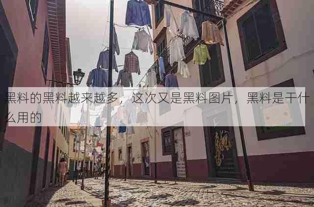 黑料的黑料越来越多，这次又是黑料图片，黑料是干什么用的