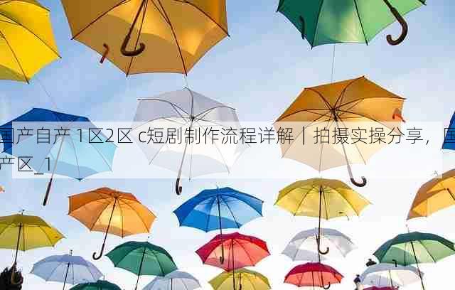 国产自产 1区2区 c短剧制作流程详解｜拍摄实操分享，国产区_1