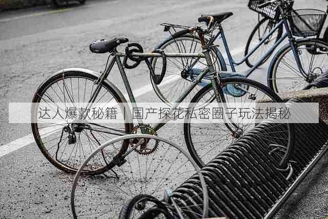 达人爆款秘籍|国产探花私密圈子玩法揭秘