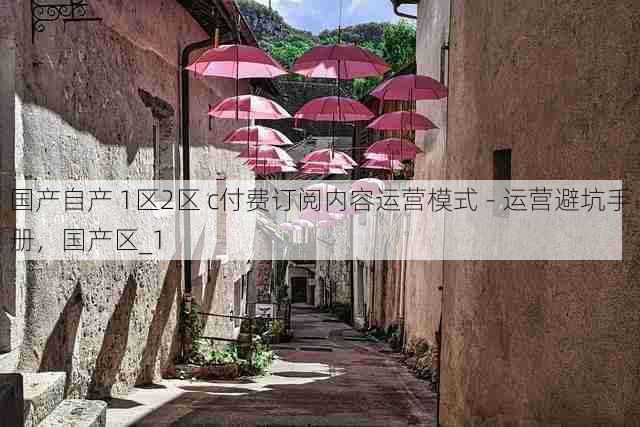 国产自产 1区2区 c付费订阅内容运营模式 - 运营避坑手册，国产区_1