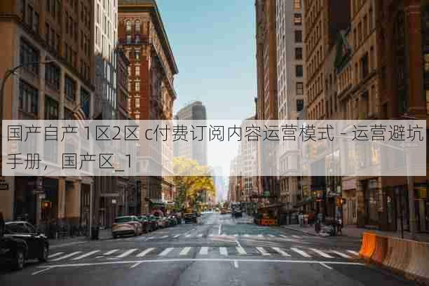 国产自产 1区2区 c付费订阅内容运营模式 - 运营避坑手册，国产区_1