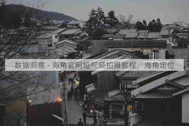 数据洞察 - 海角官网短视频拍摄教程，海角定位