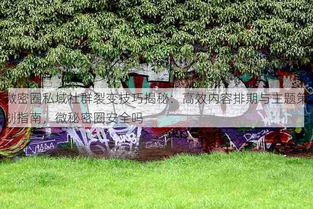 微密圈私域社群裂变技巧揭秘：高效内容排期与主题策划指南，微秘密圈安全吗