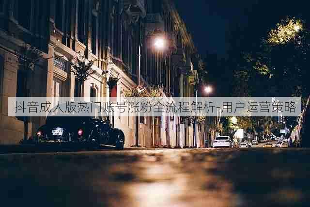 抖音成人版热门账号涨粉全流程解析-用户运营策略