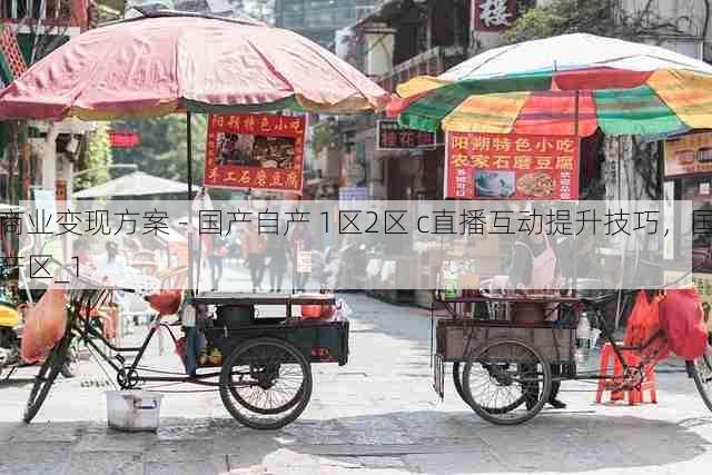 商业变现方案 - 国产自产 1区2区 c直播互动提升技巧，国产区_1