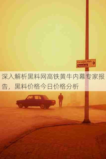 深入解析黑料网高铁黄牛内幕专家报告，黑料价格今日价格分析