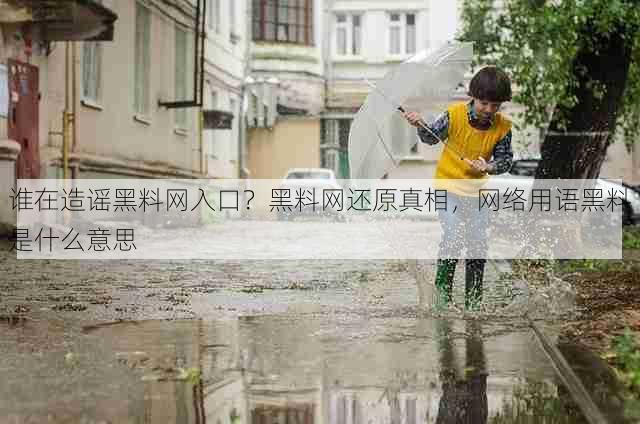 谁在造谣黑料网入口？黑料网还原真相，网络用语黑料是什么意思