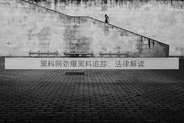 黑料网劲爆黑料追踪:法律解读