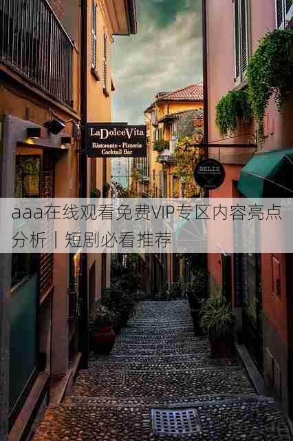 aaa在线观看免费VIP专区内容亮点分析｜短剧必看推荐