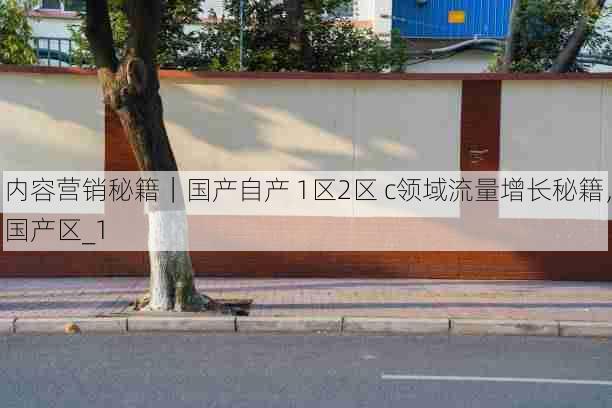 内容营销秘籍｜国产自产 1区2区 c领域流量增长秘籍，国产区_1