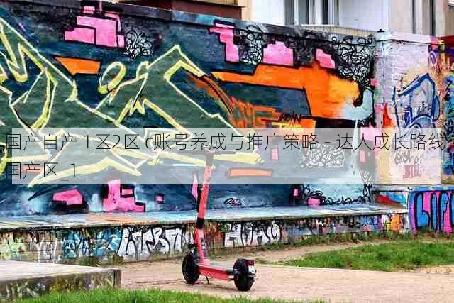 国产自产 1区2区 c账号养成与推广策略 - 达人成长路线，国产区_1