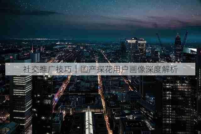 社交推广技巧｜国产探花用户画像深度解析