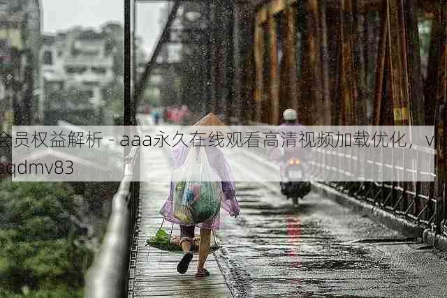 会员权益解析 - aaa永久在线观看高清视频加载优化，vip aqdmv83