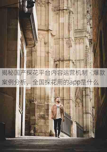 揭秘国产探花平台内容运营机制 - 爆款案例分析，全国探花用的app是什么