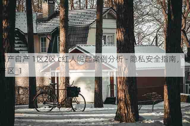 国产自产 1区2区 c红人崛起案例分析 - 隐私安全指南，国产区_1