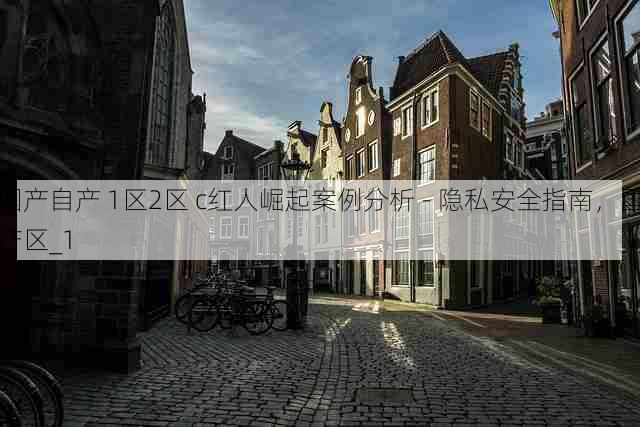 国产自产 1区2区 c红人崛起案例分析 - 隐私安全指南，国产区_1