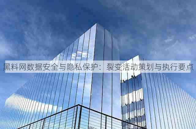 黑料网数据安全与隐私保护：裂变活动策划与执行要点