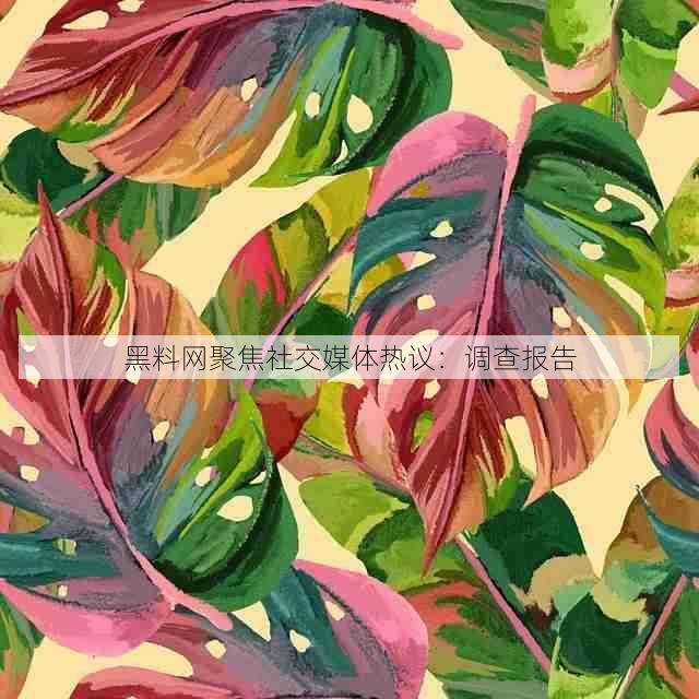 黑料网聚焦社交媒体热议：调查报告