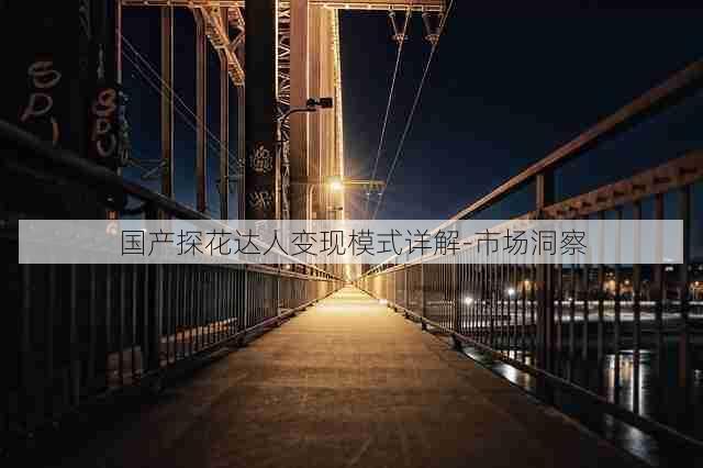 国产探花达人变现模式详解-市场洞察