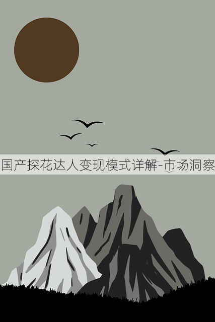 国产探花达人变现模式详解-市场洞察