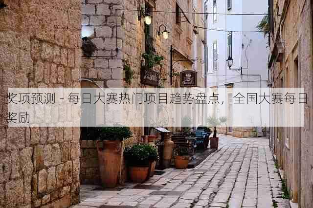 奖项预测 - 每日大赛热门项目趋势盘点，全国大赛每日奖励