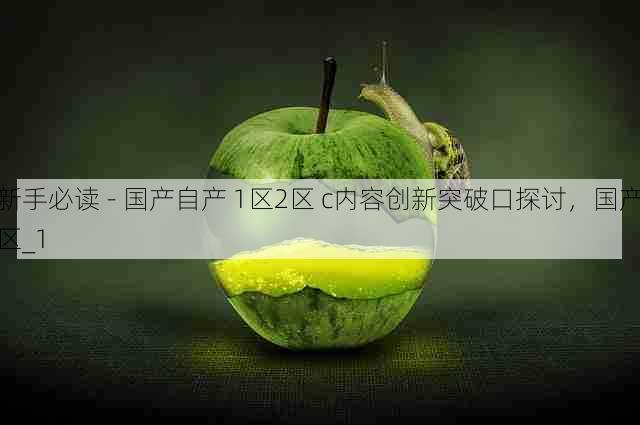 新手必读 - 国产自产 1区2区 c内容创新突破口探讨，国产区_1