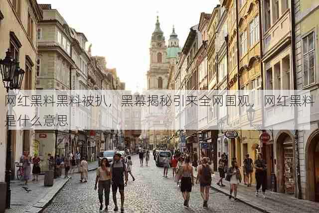 网红黑料黑料被扒,黑幕揭秘引来全网围观,网红黑料是什么意思