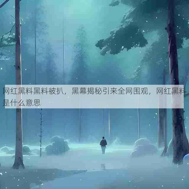 网红黑料黑料被扒,黑幕揭秘引来全网围观,网红黑料是什么意思