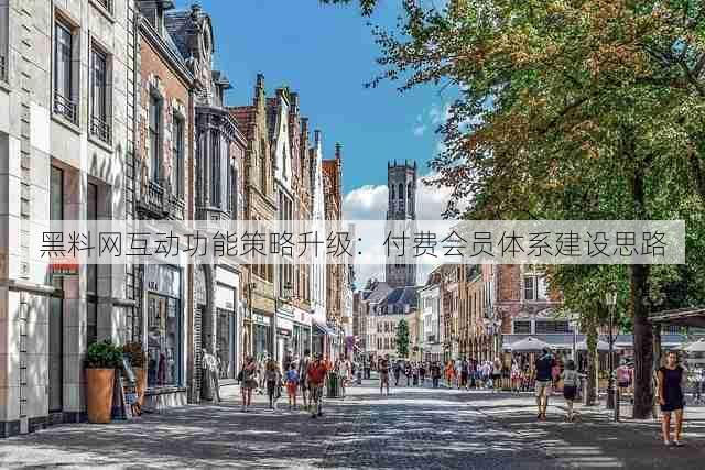 黑料网互动功能策略升级：付费会员体系建设思路