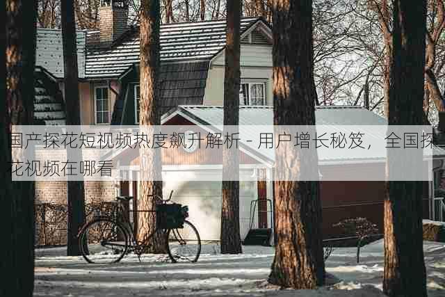 国产探花短视频热度飙升解析 - 用户增长秘笈，全国探花视频在哪看