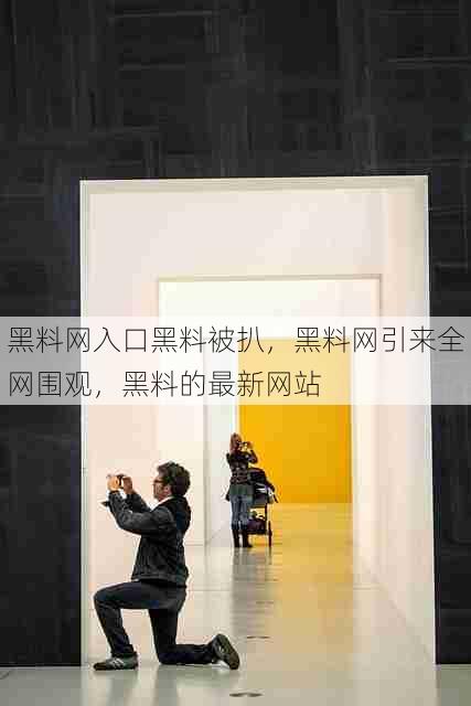 黑料网入口黑料被扒，黑料网引来全网围观，黑料的最新网站