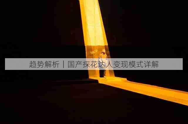 趋势解析｜国产探花达人变现模式详解