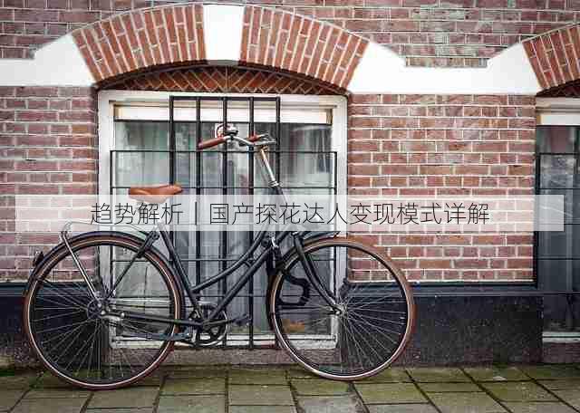 趋势解析｜国产探花达人变现模式详解