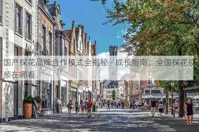 国产探花品牌合作模式全揭秘 - 成长指南，全国探花视频在哪看